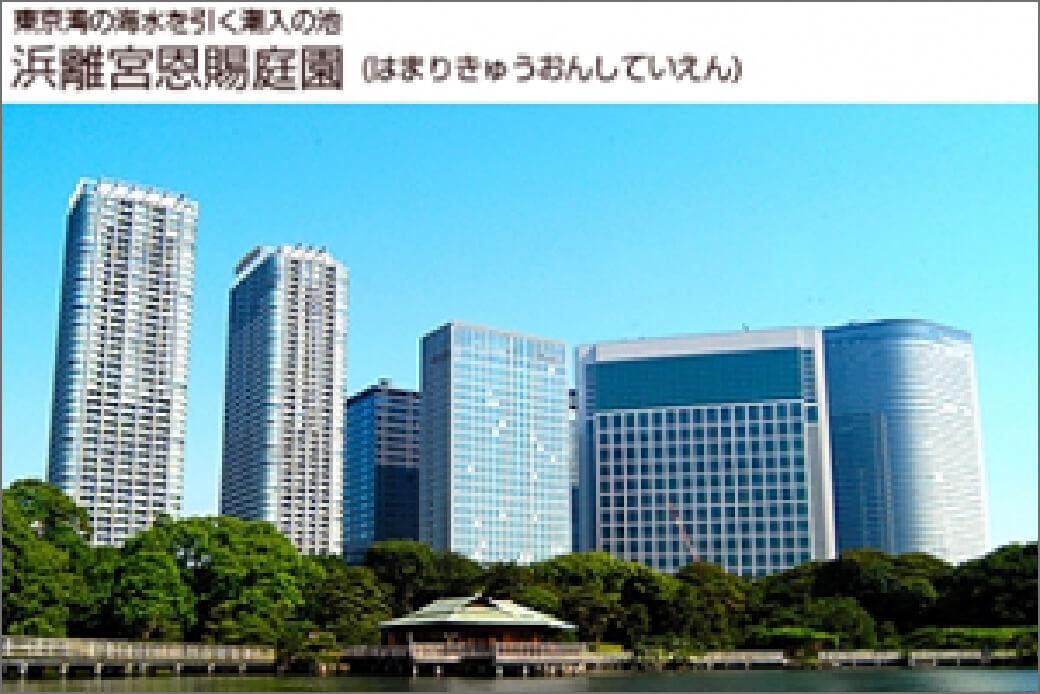 浜離宮恩賜庭園（施設情報1）